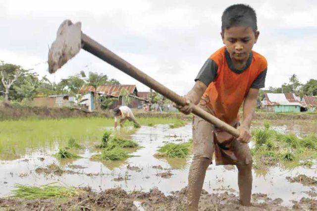 Homo Laboris - Manusia Pada Hakekatnya Adalah Pekerja